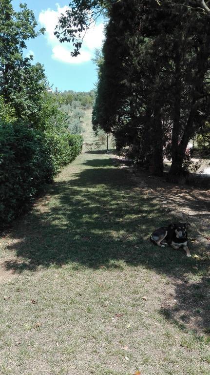 Agriturismo San Lino-Gilberto Massa Marittima Exteriér fotografie