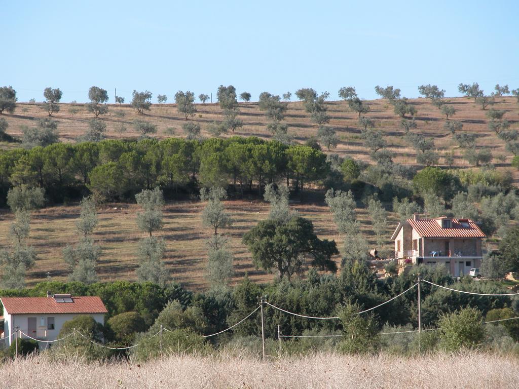 Agriturismo San Lino-Gilberto Massa Marittima Exteriér fotografie
