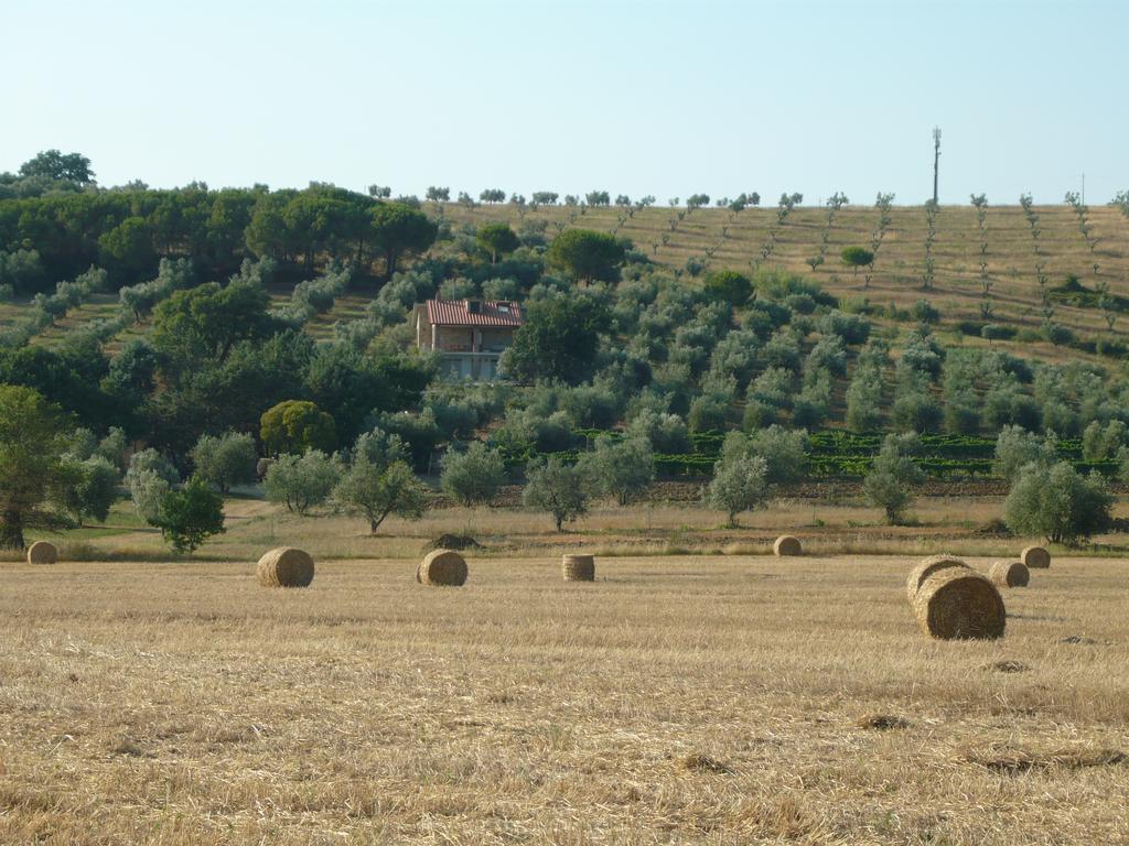Agriturismo San Lino-Gilberto Massa Marittima Exteriér fotografie
