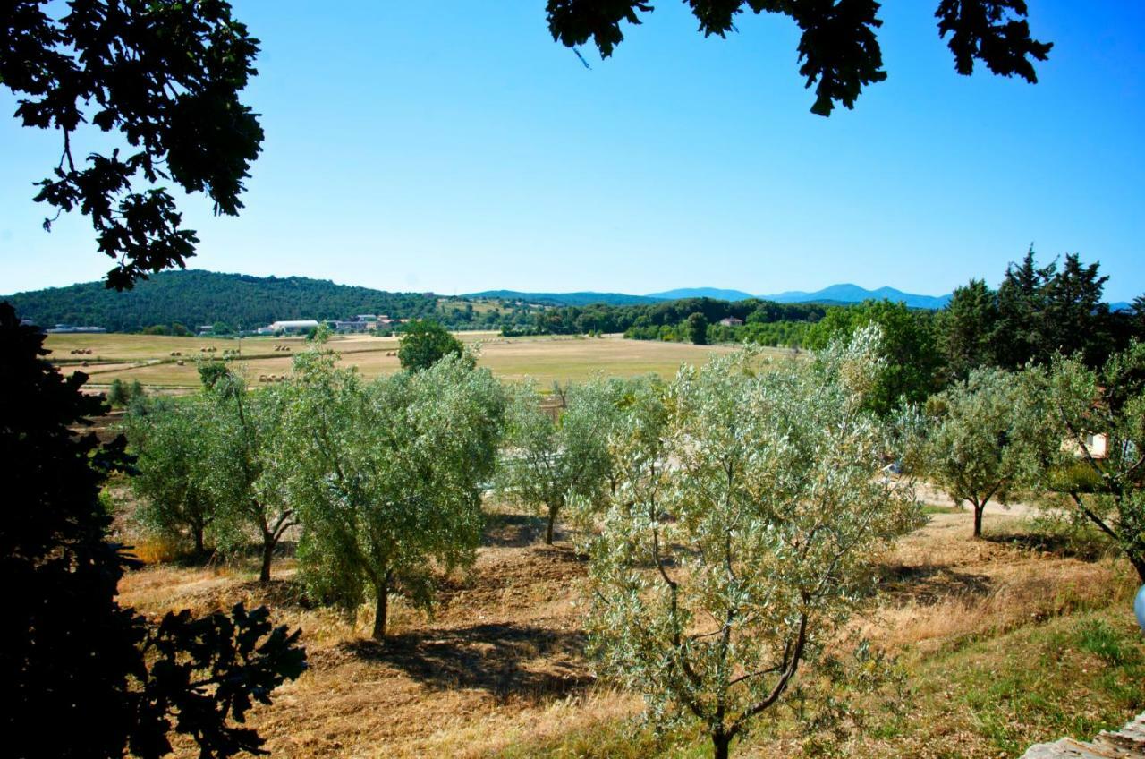 Agriturismo San Lino-Gilberto Massa Marittima Exteriér fotografie
