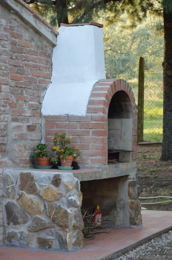 Agriturismo San Lino-Gilberto Massa Marittima Exteriér fotografie